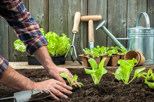 In the foreground of the image, a person wearing a plaid shirt is planting young leafy green vegetables into prepared dark, rich soil in a garden bed. The garden features a wooden fence as a backdrop, with several gardening tools including a hand rake, watering can, and small plant pots placed on a wooden surface behind the garden bed. In the background, a lush hedge runs alongside the garden, providing natural greenery. The overall scene is outdoors, under natural daylight, indicating a well-maintained, productive garden space suitable for gardening services in Neasden that focus on planting and outdoor maintenance. The soil appears moist and fertile, emphasizing the healthy start of the vegetable seedlings, and the environment suggests careful, professional gardening care tailored to creating a vibrant, sustainable outdoor area for local homeowners.
