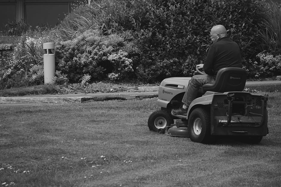 A person seen from behind, wearing a dark long-sleeved shirt and a black hat, is trimming a lush, dense hedge with a pair of silver-handled hedge shears. The hedge has small green leaves, and there ar